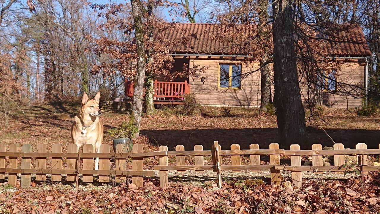 Le Village Enchanteur La Chapelle-Aubareil Eksteriør billede
